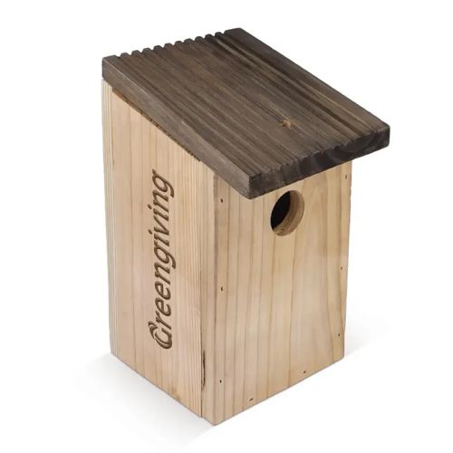 Birdhouse with Tiny Tony's - Image 3